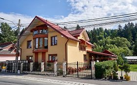 Casa Cu Flori Moisei