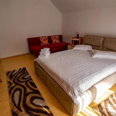 Hotel Casa Cu Flori Moisei Zewnętrze zdjęcie