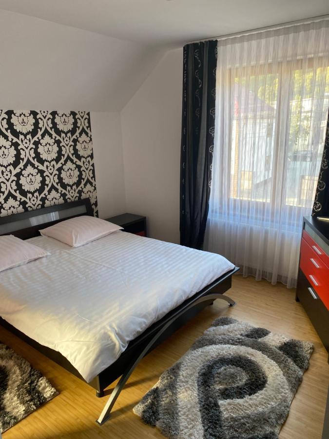 Hotel Casa Cu Flori Moisei Zewnętrze zdjęcie