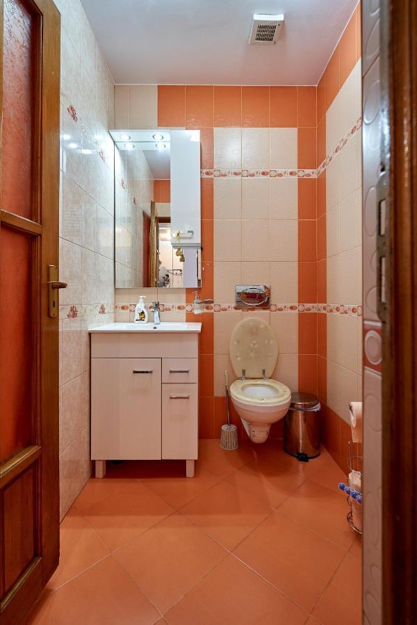 Hotel Casa Cu Flori Moisei Zewnętrze zdjęcie