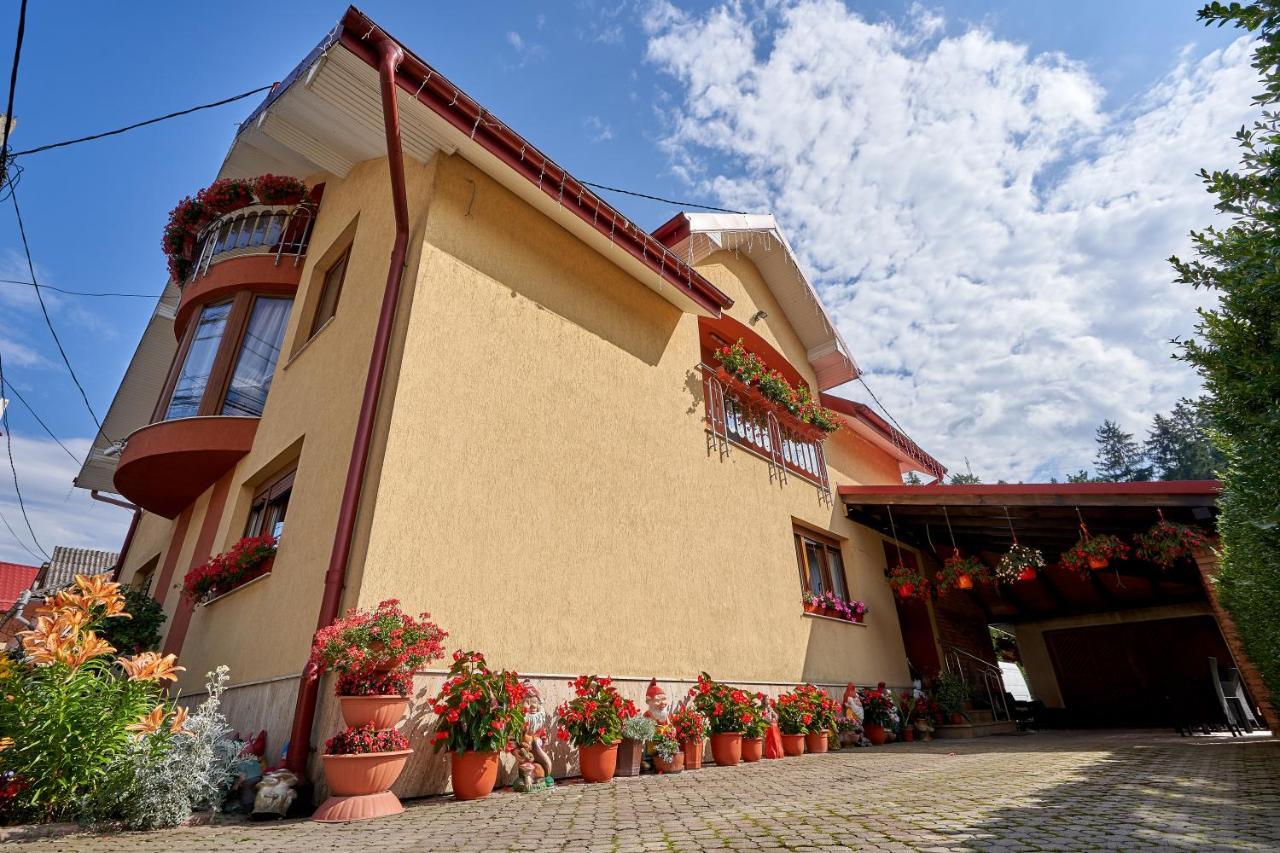 Hotel Casa Cu Flori Moisei Zewnętrze zdjęcie
