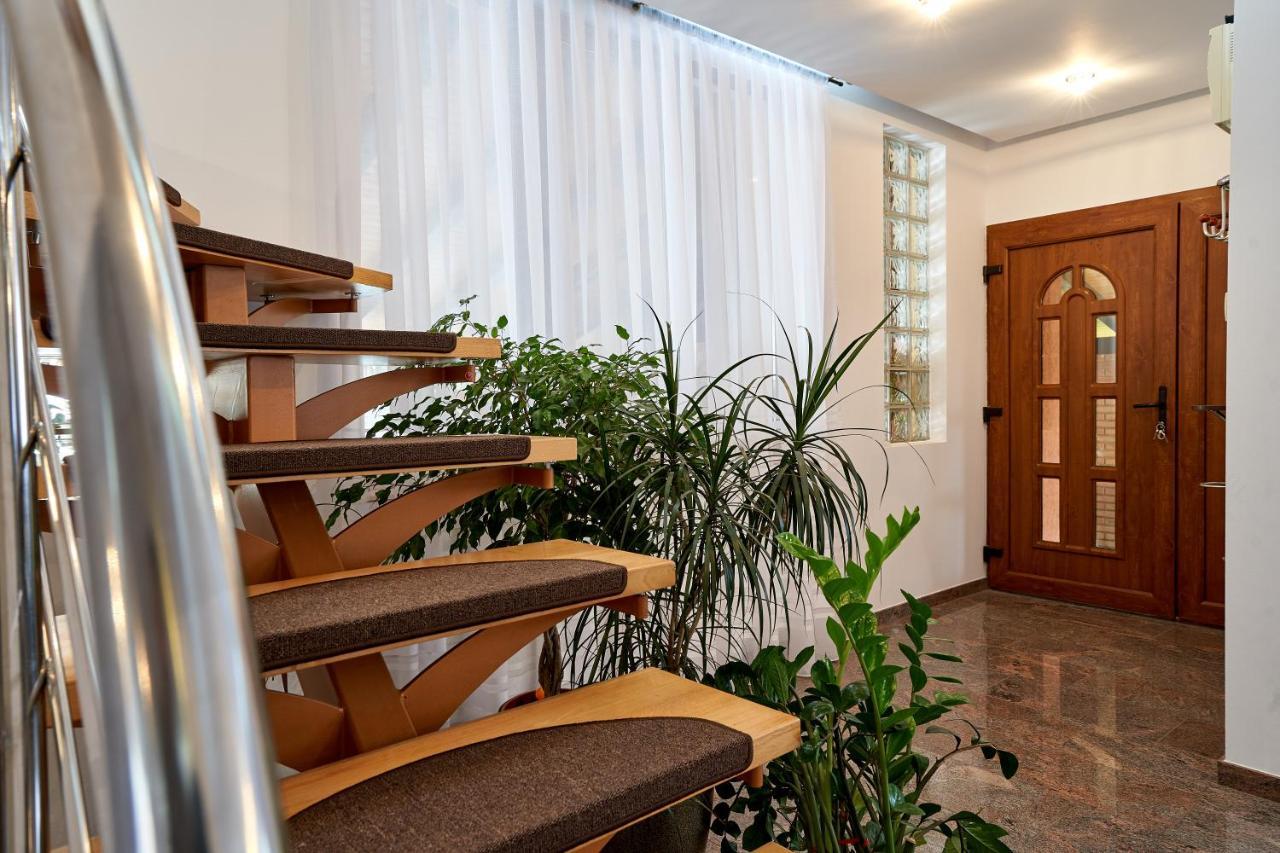 Hotel Casa Cu Flori Moisei Zewnętrze zdjęcie