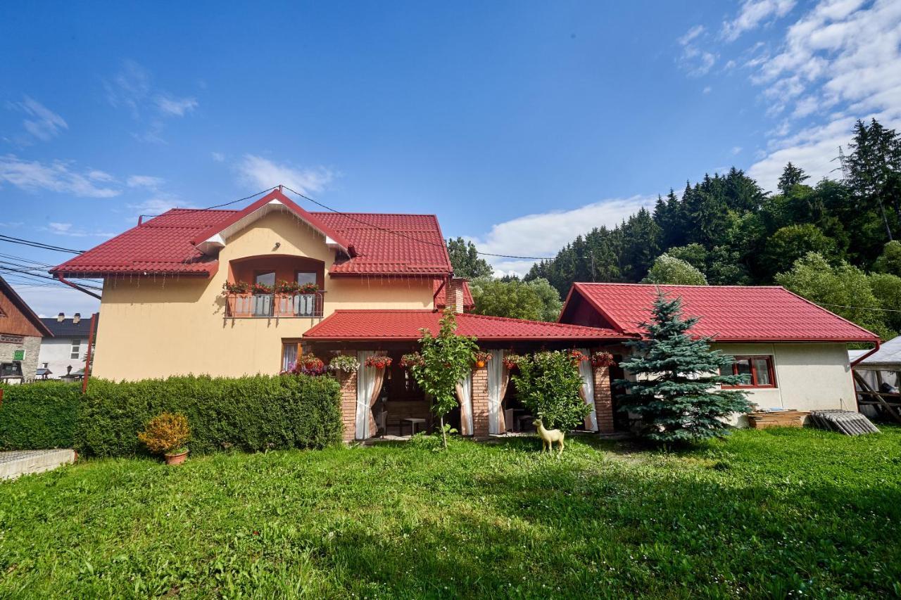 Hotel Casa Cu Flori Moisei Zewnętrze zdjęcie