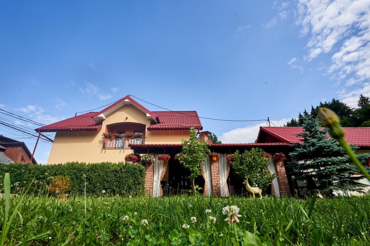 Hotel Casa Cu Flori Moisei Zewnętrze zdjęcie