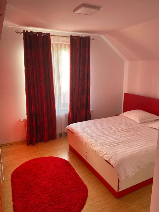 Hotel Casa Cu Flori Moisei Zewnętrze zdjęcie